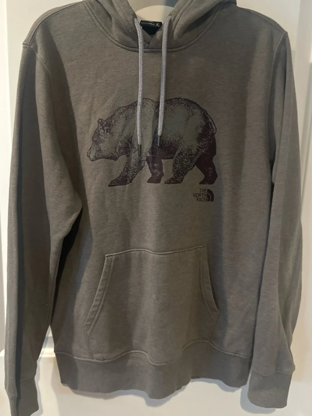 The North Face Men's Gray Bear Graphic Hoodie